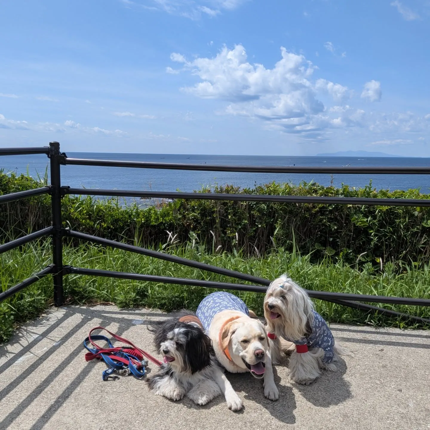 城ヶ島へ行ってきました😄