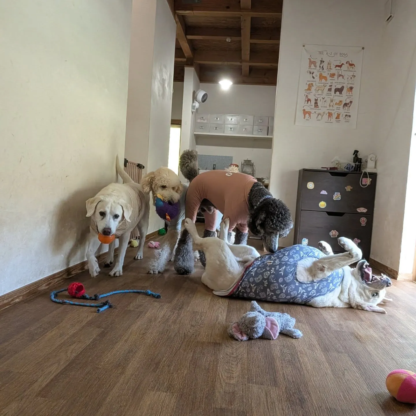 お昼はお部屋でおもちゃ遊び🎵