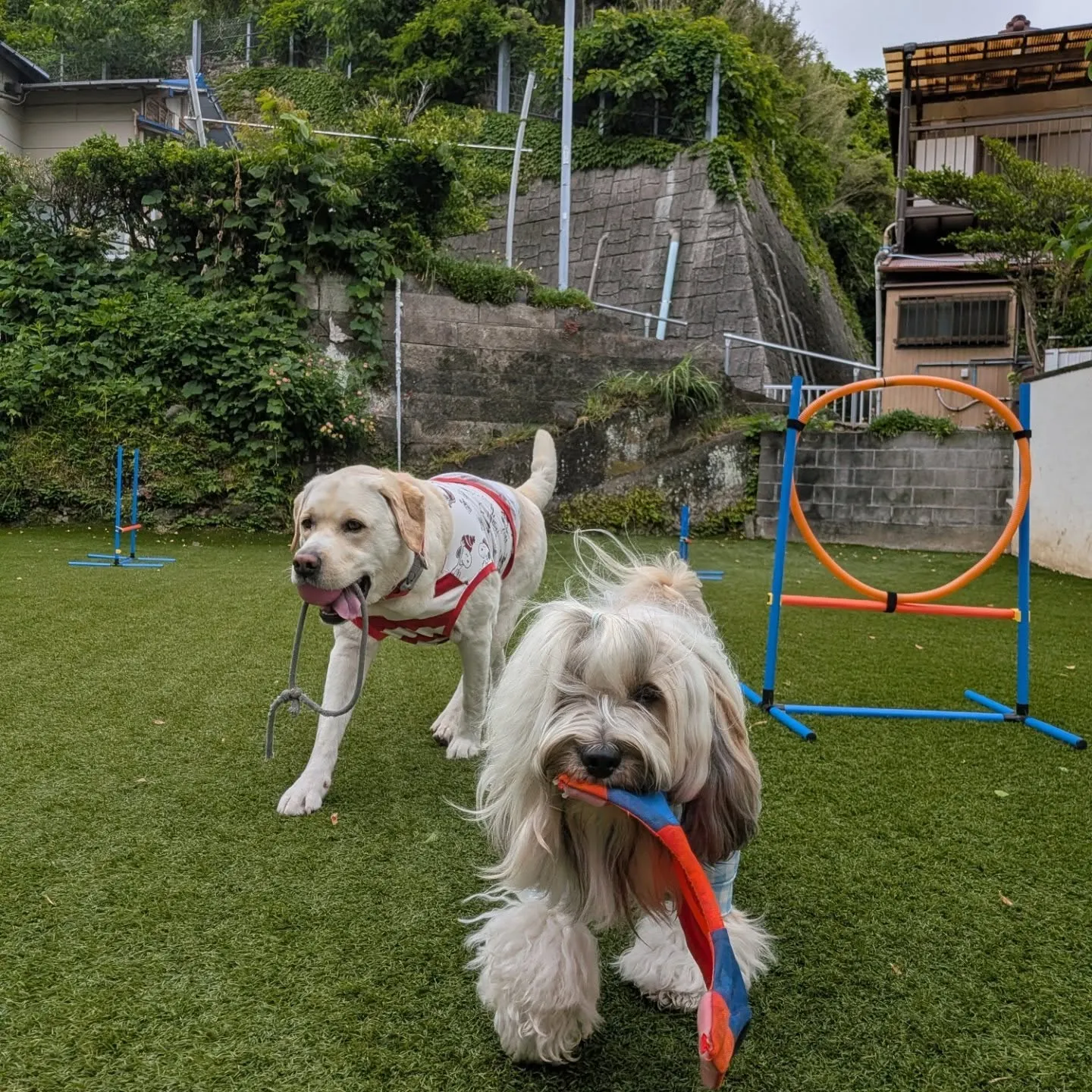 今日は風も強くて寒い。