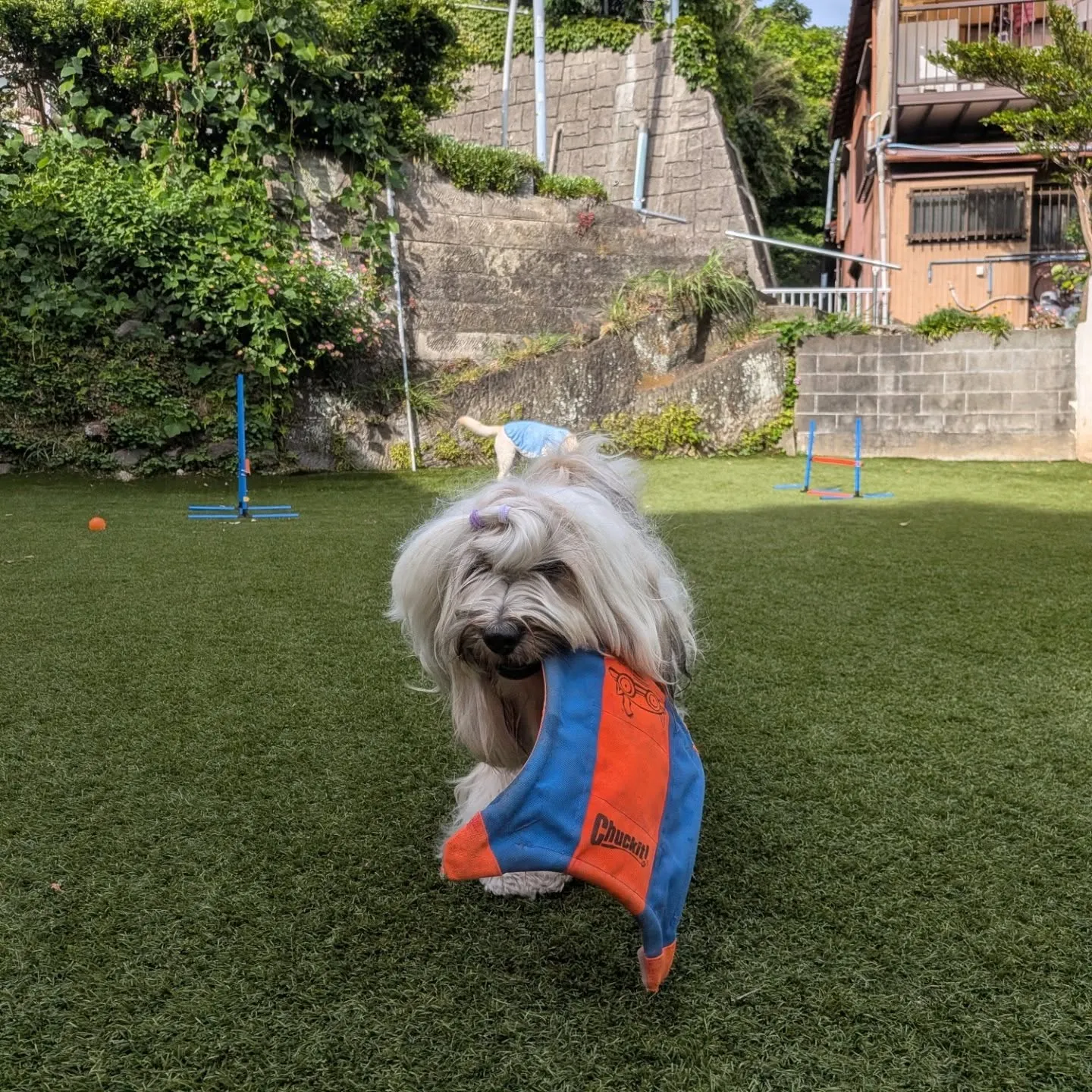 朝から暑いねぇ😅