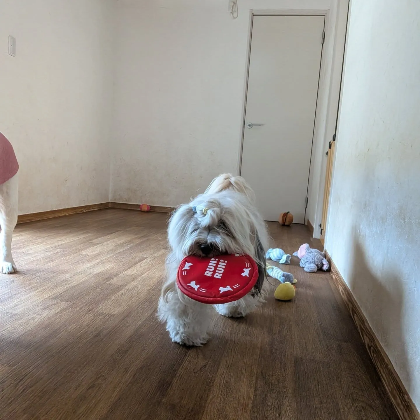 朝から暑いのでお部屋でおもちゃ遊び🎵