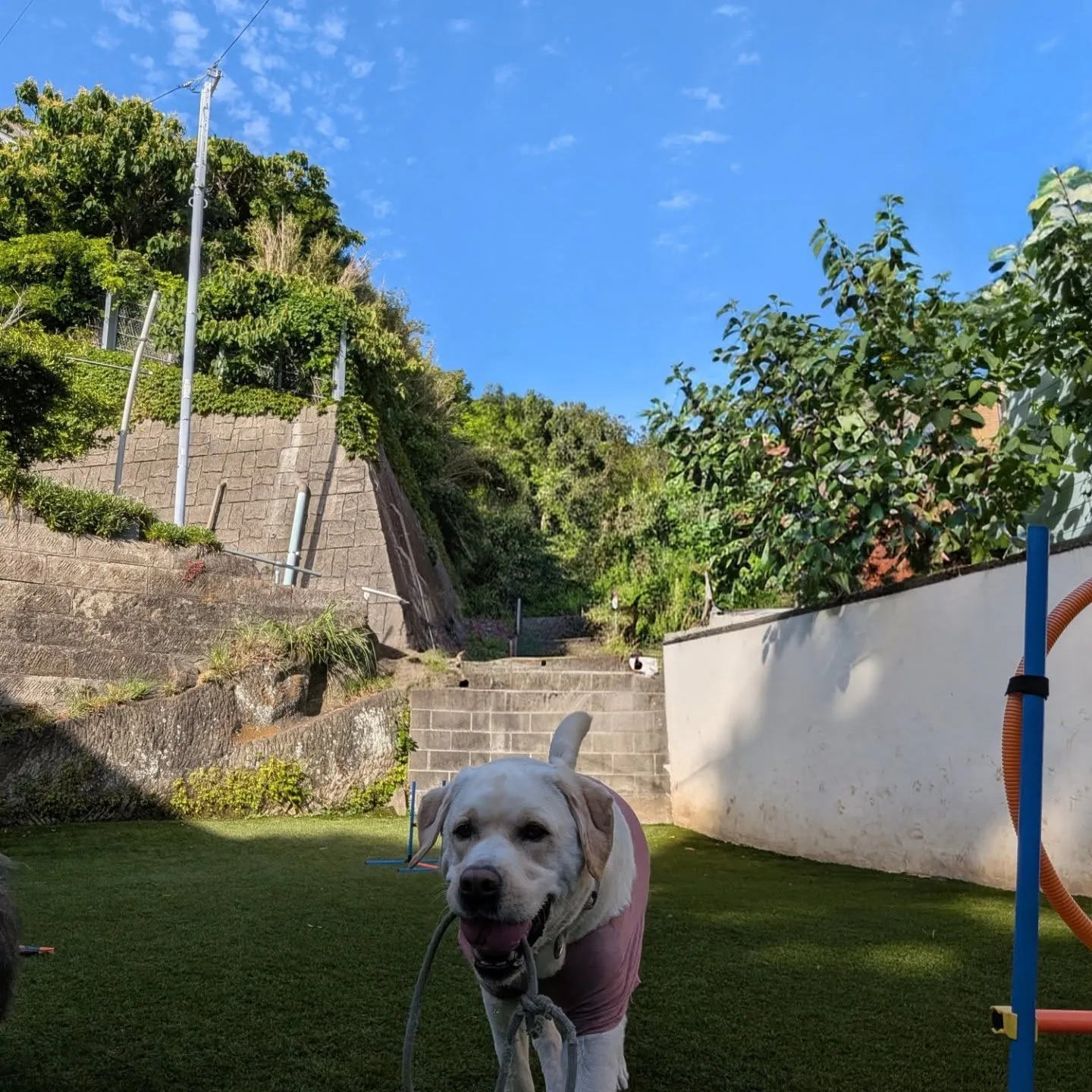 やっと涼しくなったのでランへ🎵