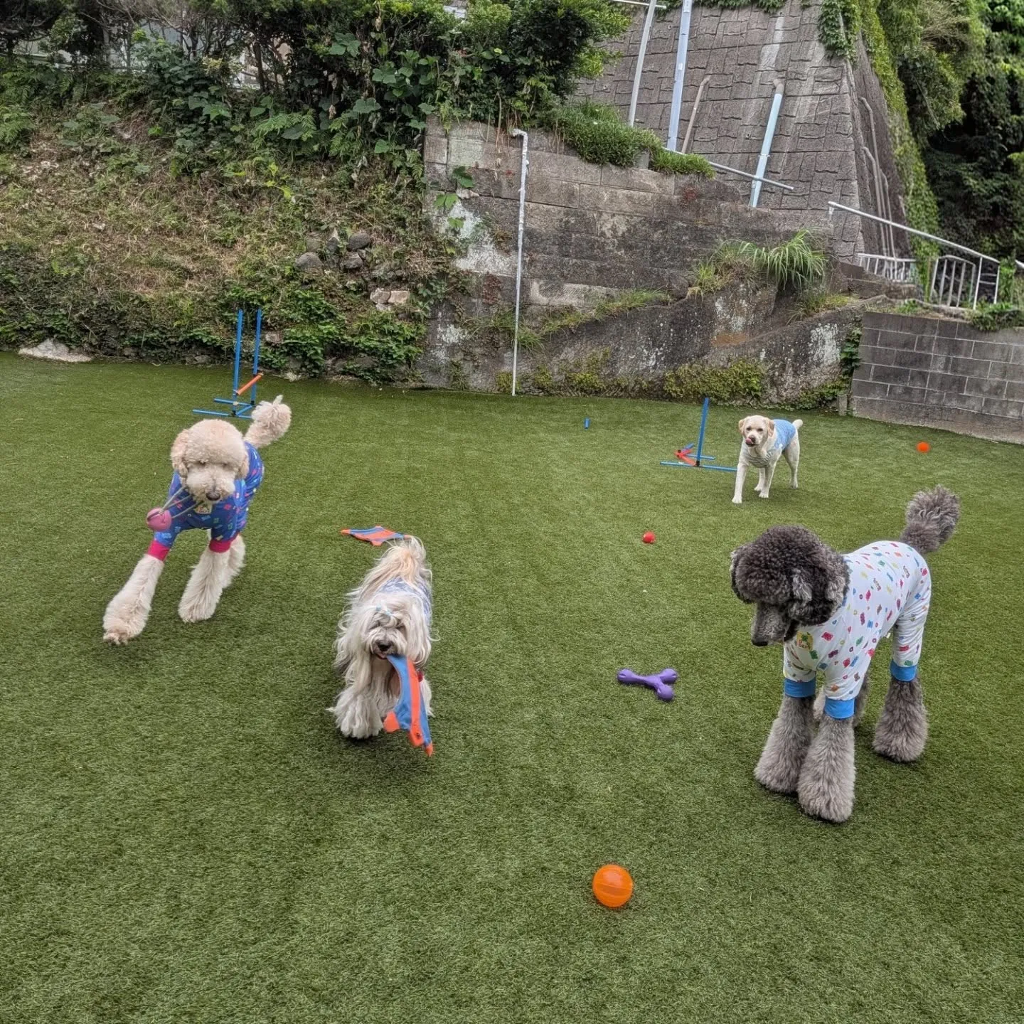 お昼もランで遊びました😄