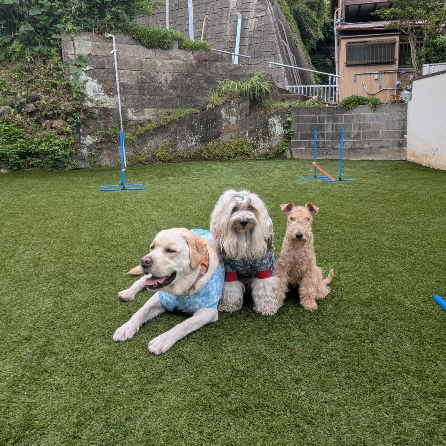 雨が止んでランへ🎵