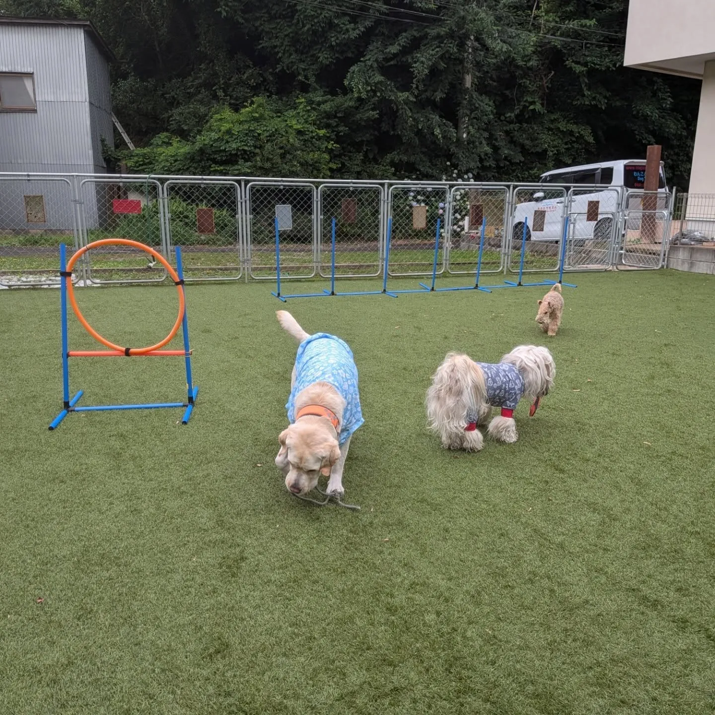 雨が止んでランへ🎵
