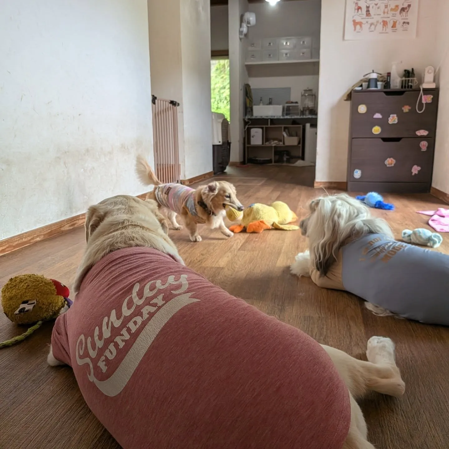 朝は雨が降っていたのでお部屋でおもちゃ遊び💕