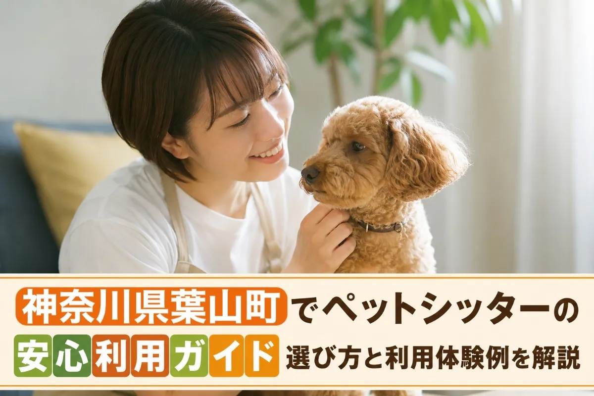 神奈川県葉山町でペットシッターの安心利用ガイド｜選び方と利用体験例を解説