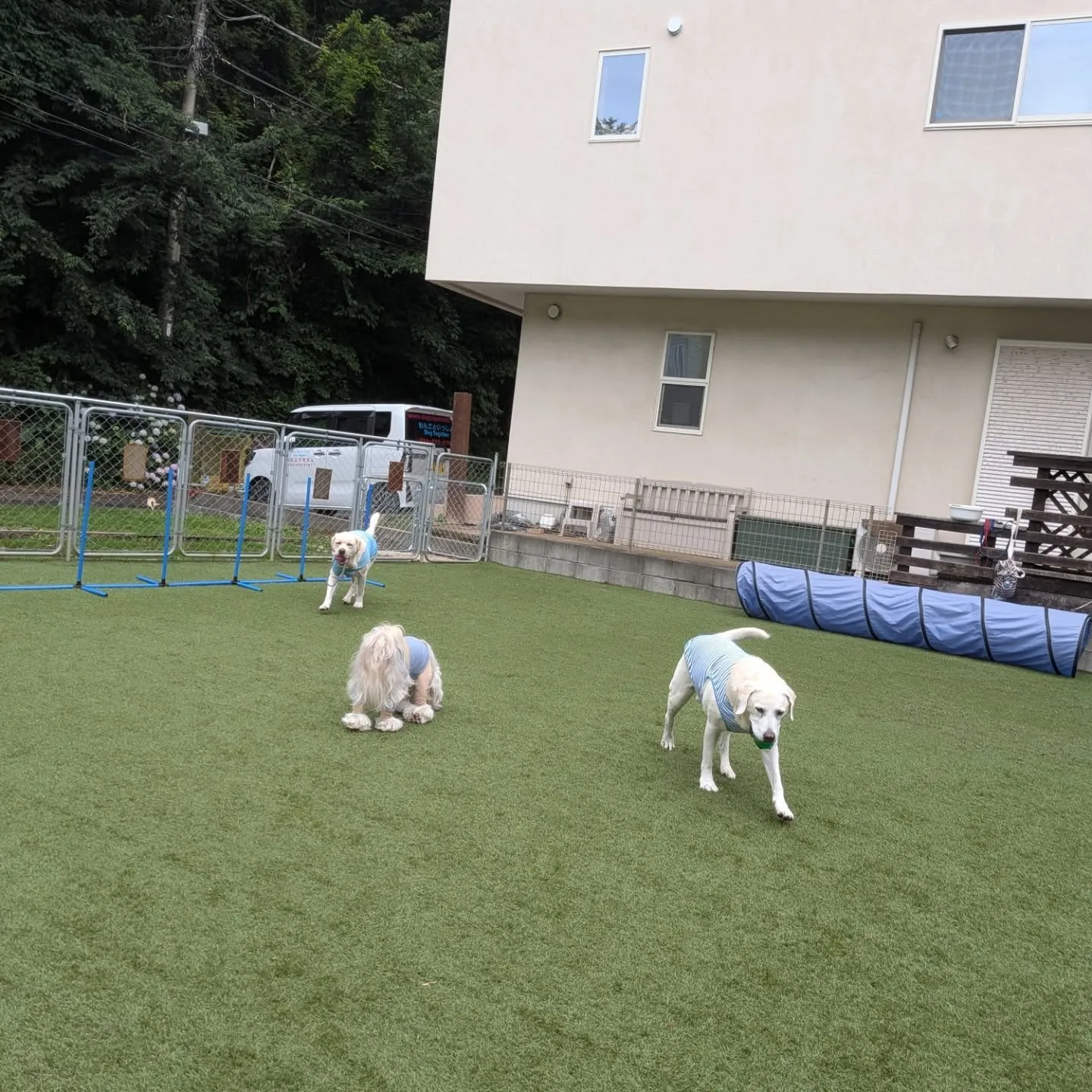 今日は雨降ったり止んだりでしたがなんとかランで遊べました😄