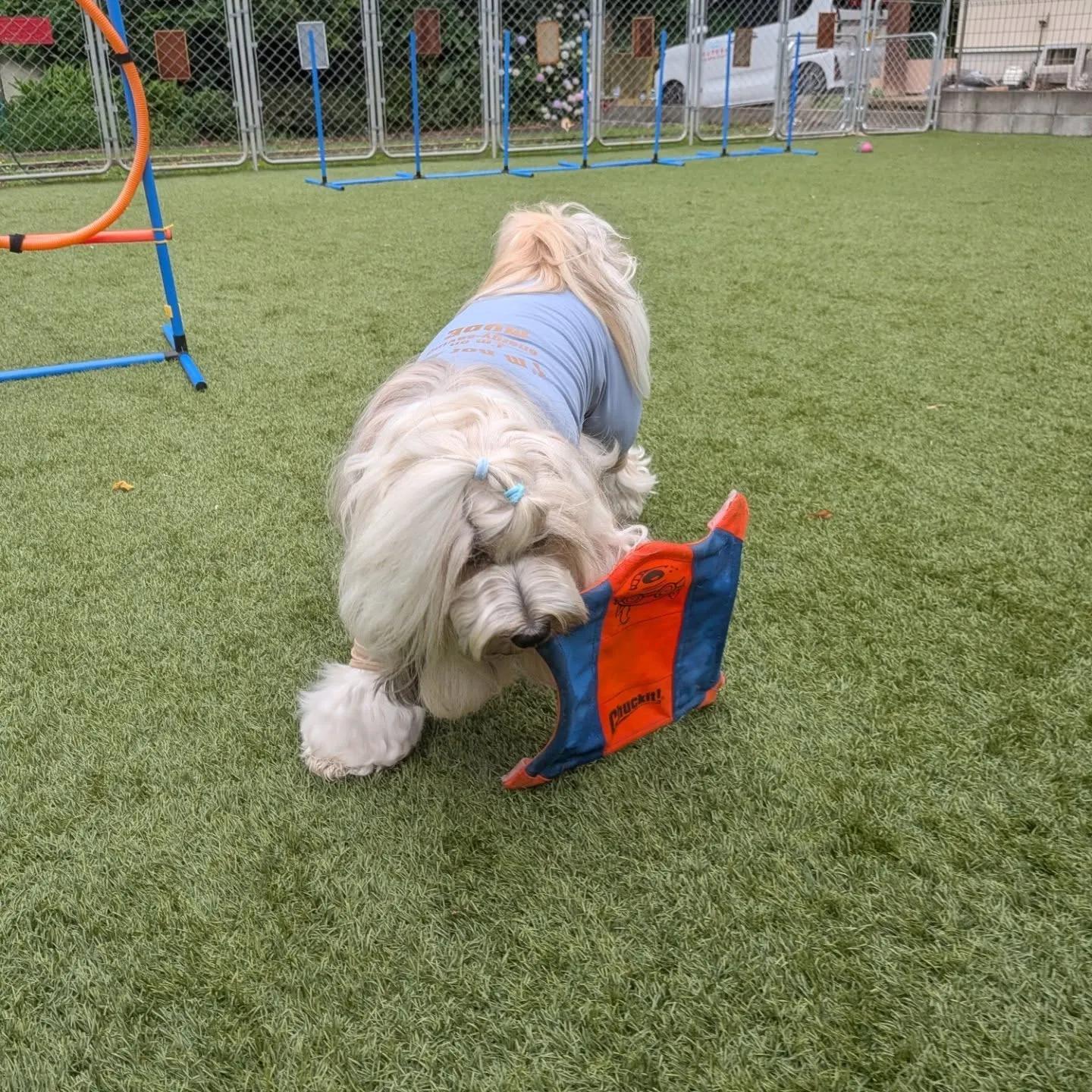 今日は雨降ったり止んだりでしたがなんとかランで遊べました😄