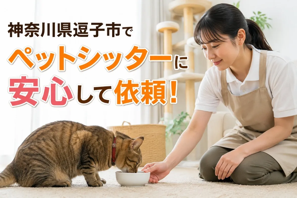 神奈川県逗子市でペットシッターに安心して依頼！