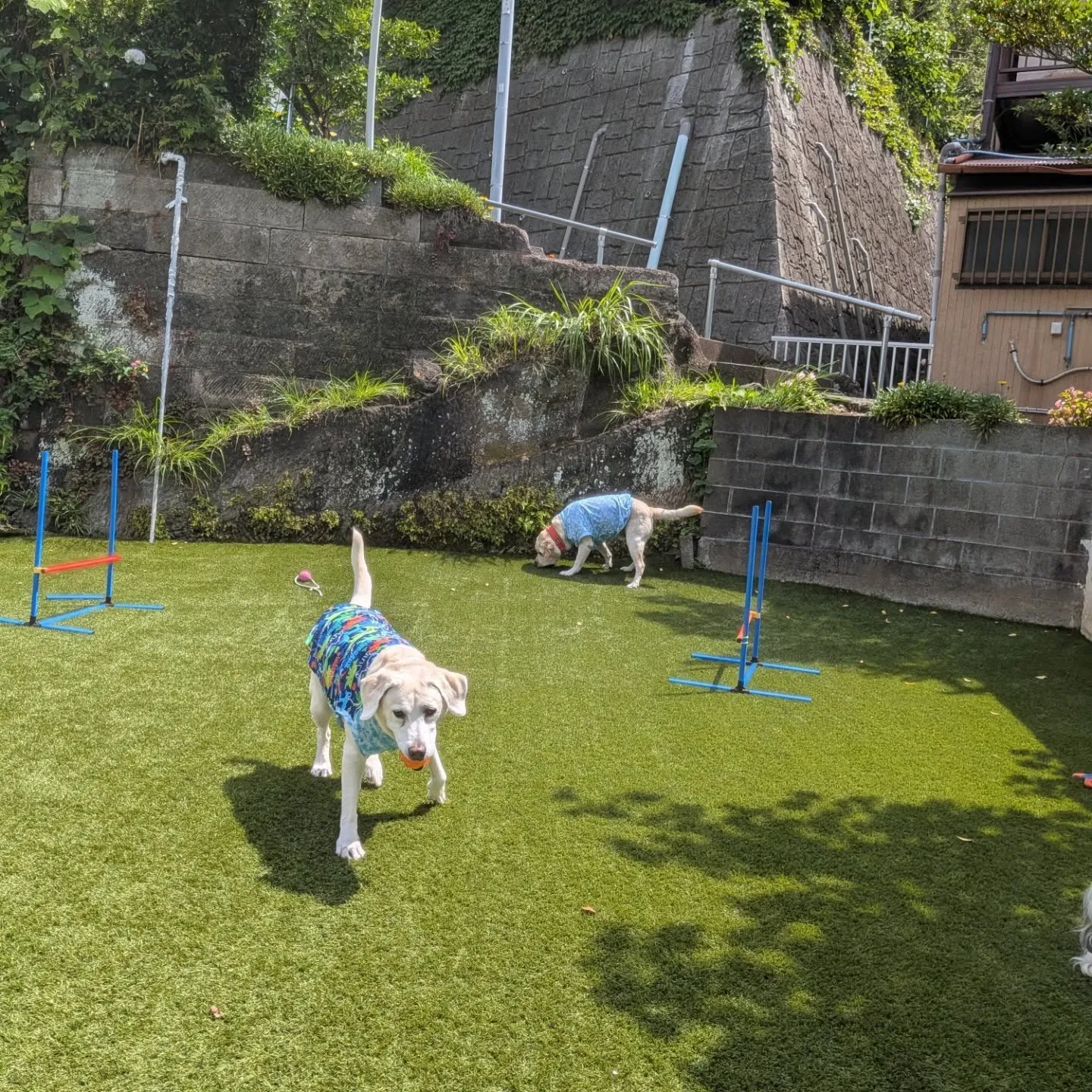 朝はランで遊びました💕