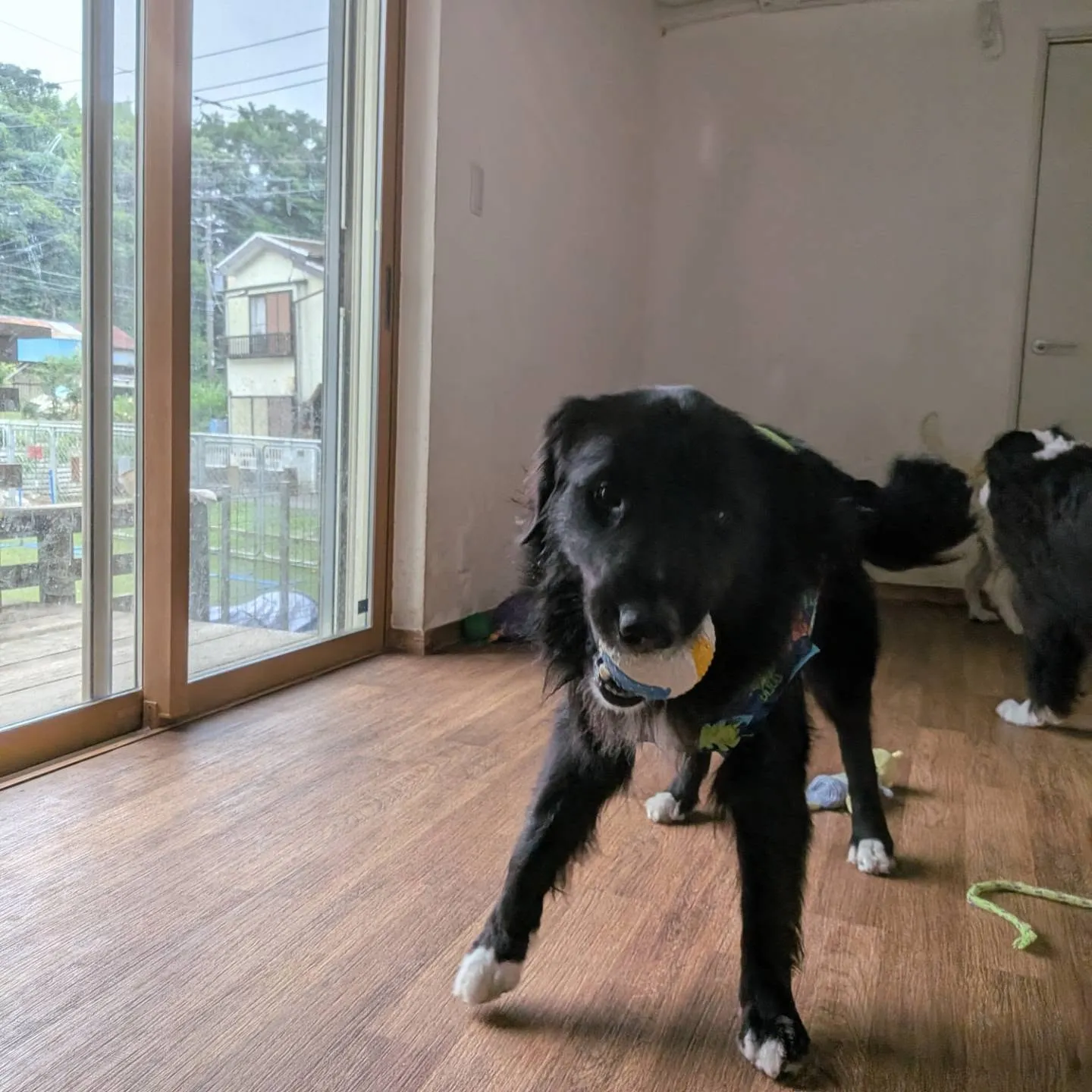 お昼はお部屋遊び🎵