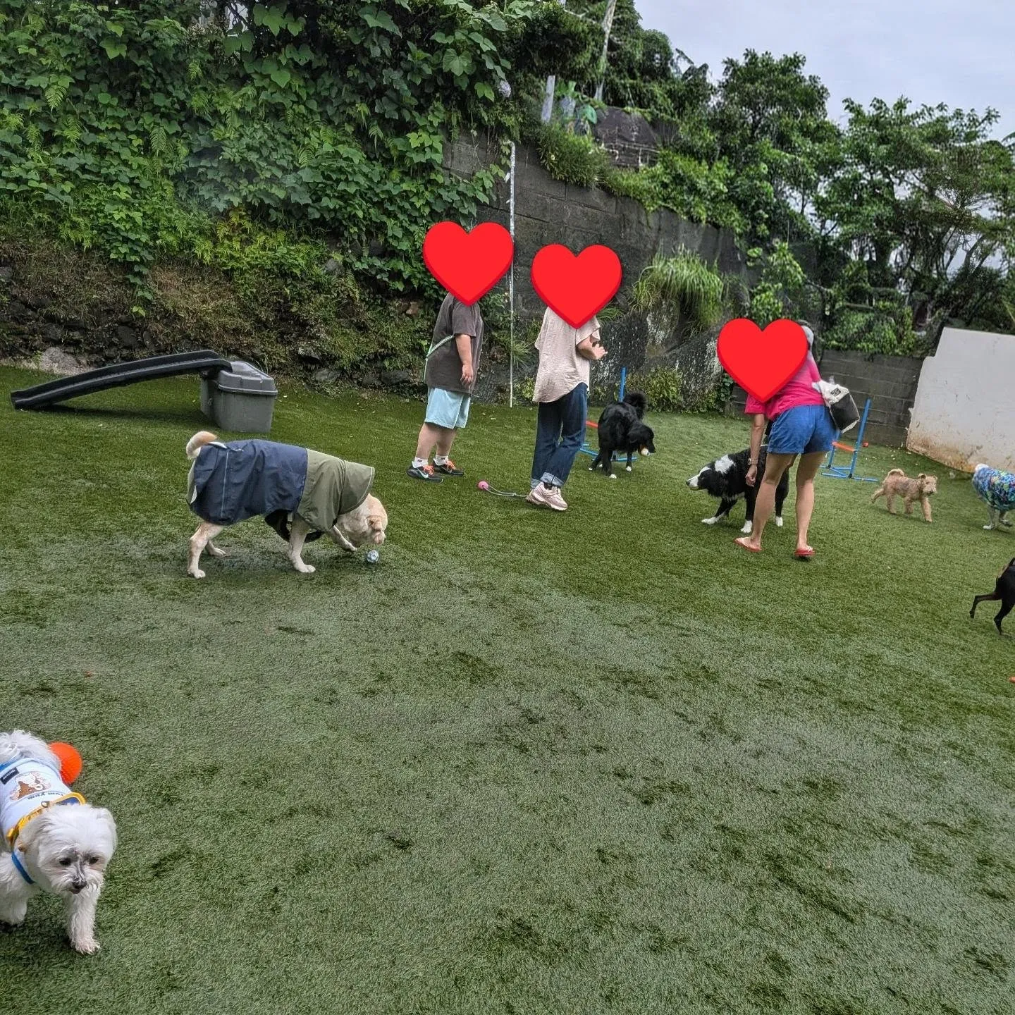 朝から雨が止まずにお誕生日会スタートしました😄