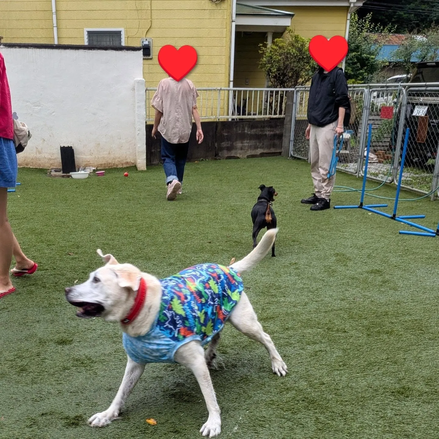 朝から雨が止まずにお誕生日会スタートしました😄