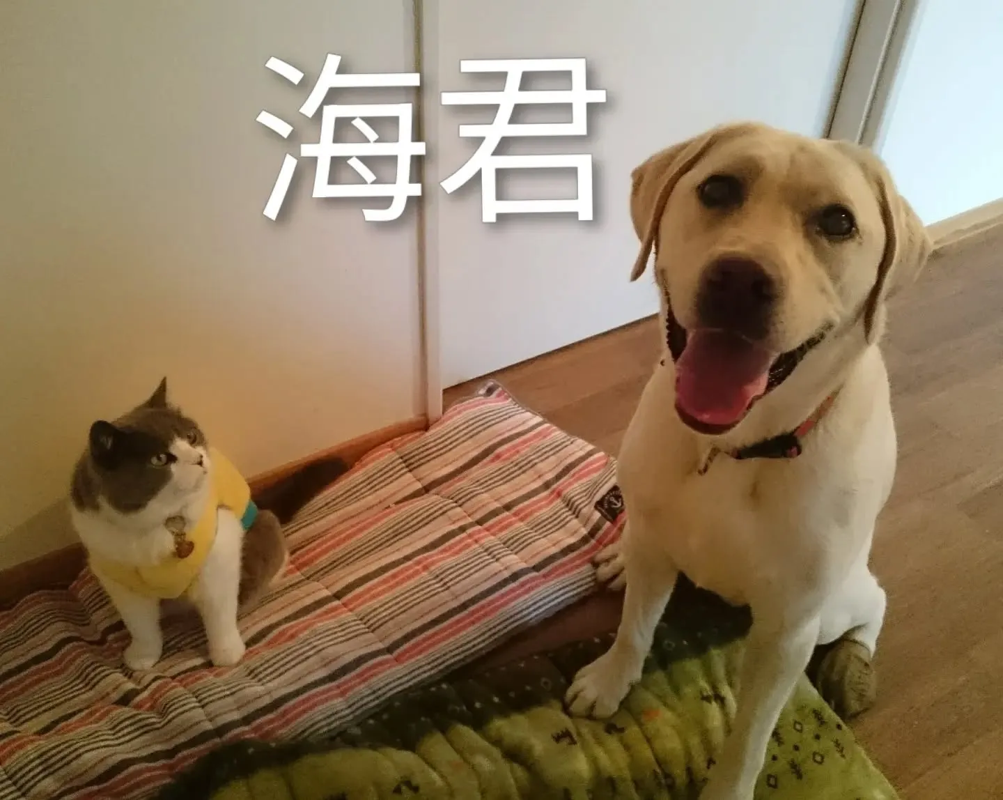 3ぴきでお散歩へ🎵
