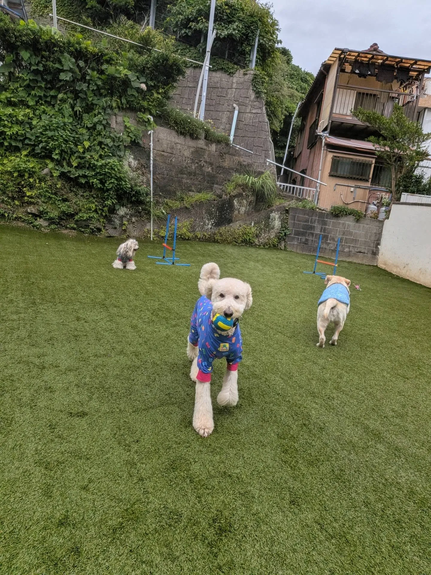 午前中は雨降ってランで遊べなかったけど後半はたくさんあそべま...