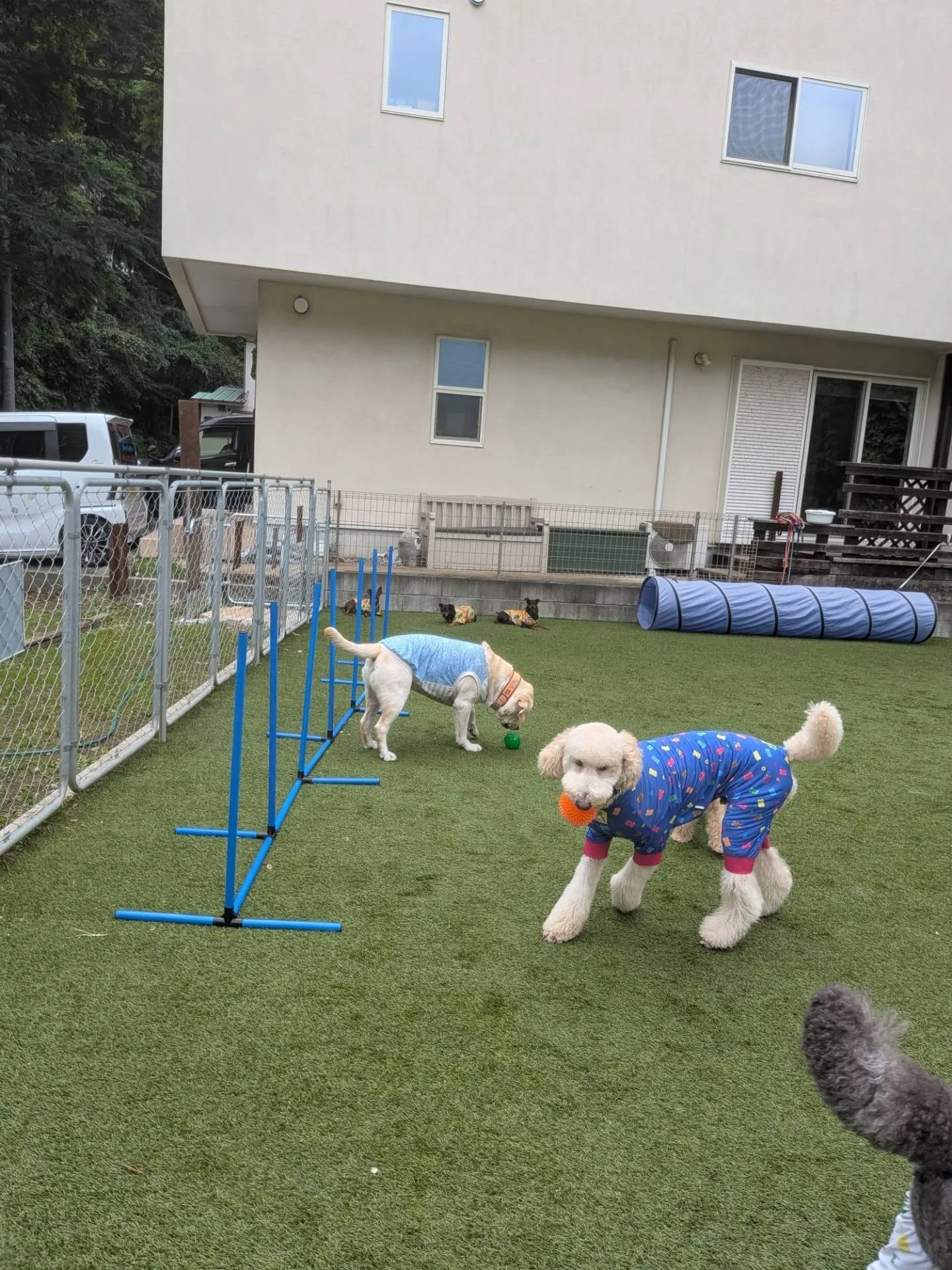 午前中は雨降ってランで遊べなかったけど後半はたくさんあそべま...
