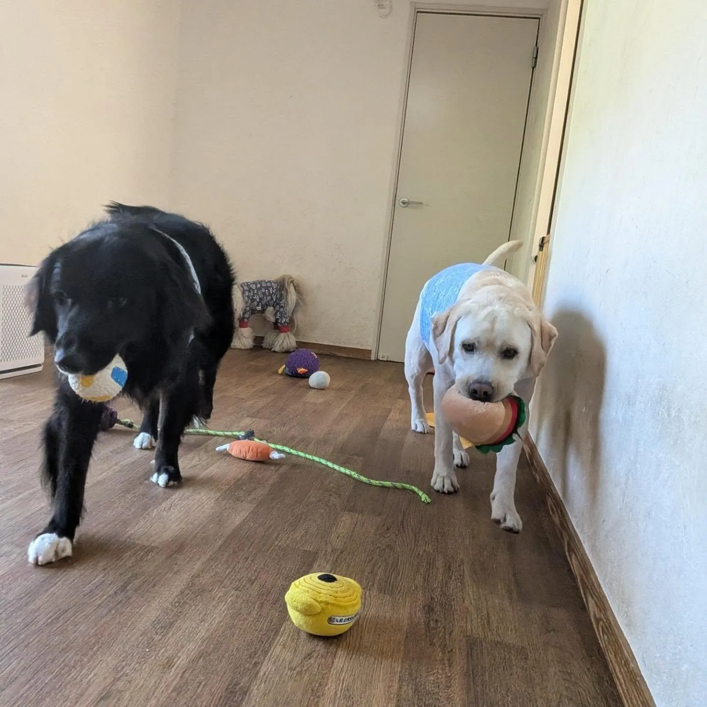 お昼はお部屋遊び💓