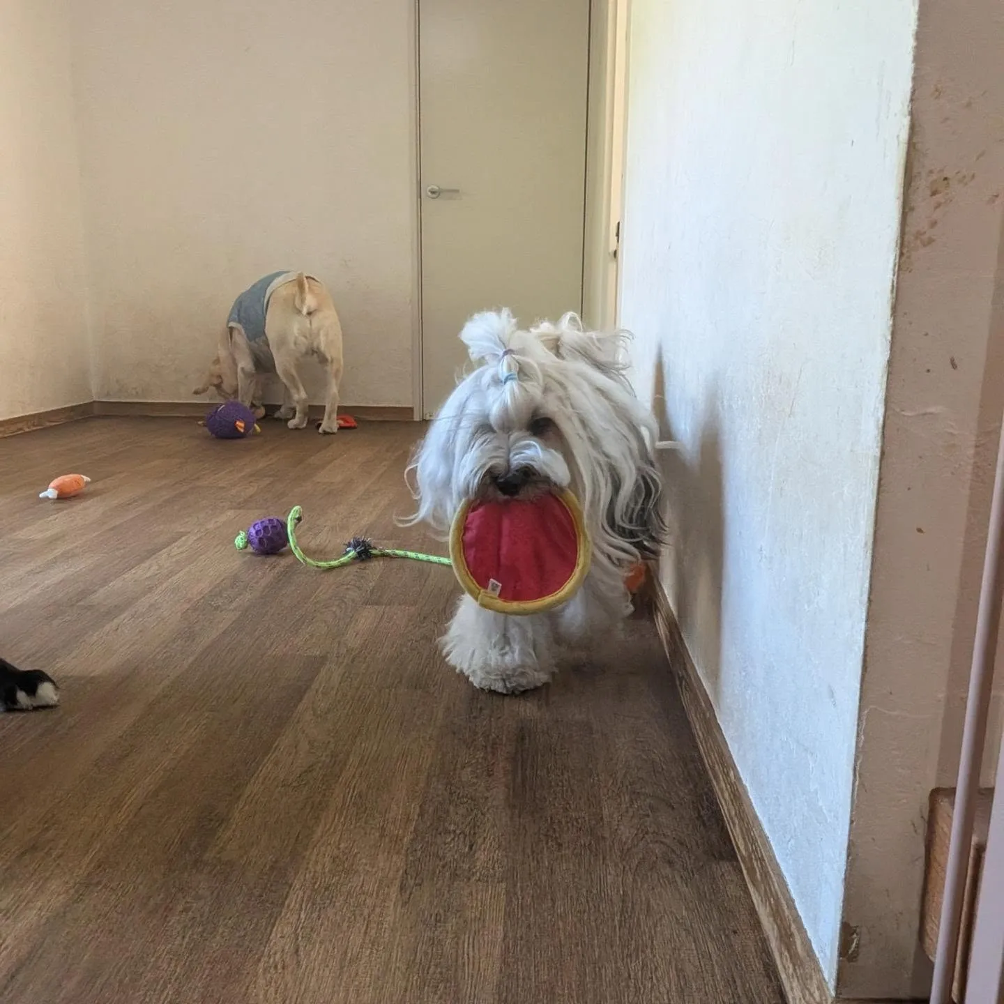 お昼はお部屋遊び💓