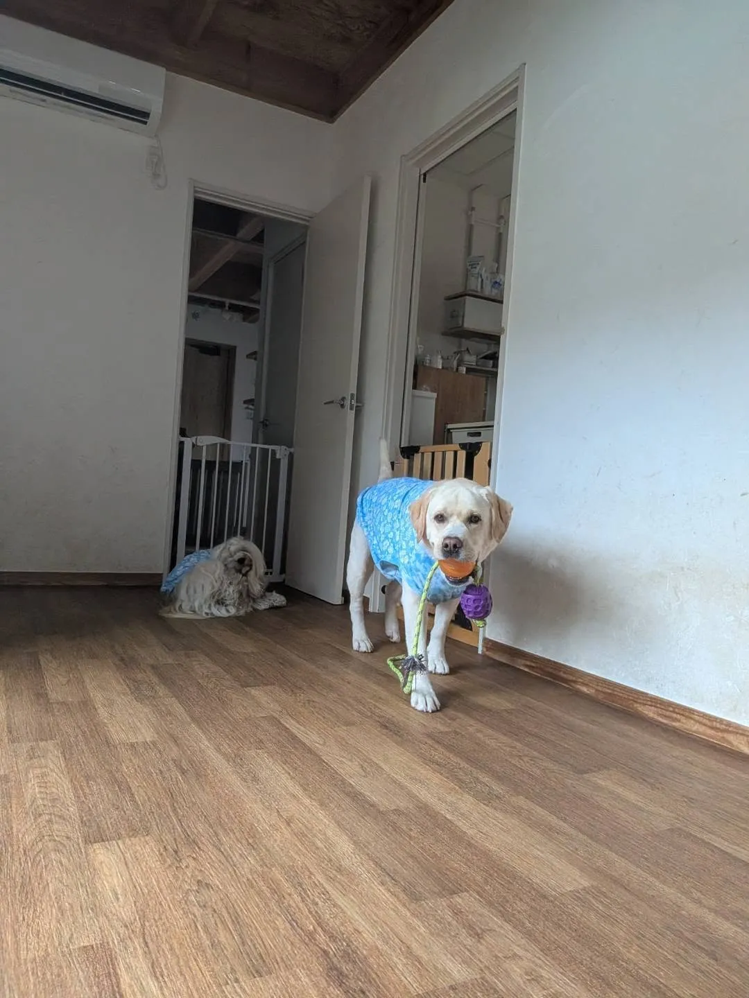 朝は三崎までお散歩へ🎵