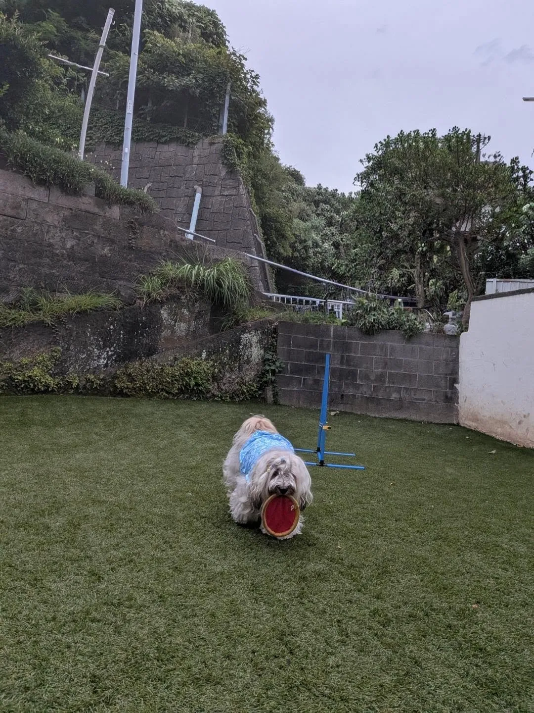 夕方になっても蒸し暑い〜😅