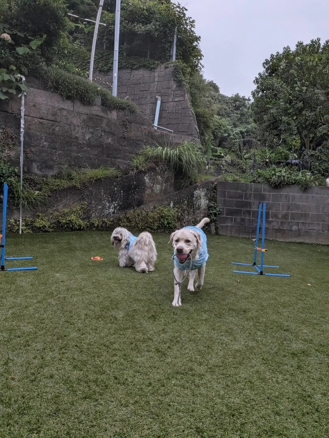 夕方になっても蒸し暑い〜😅