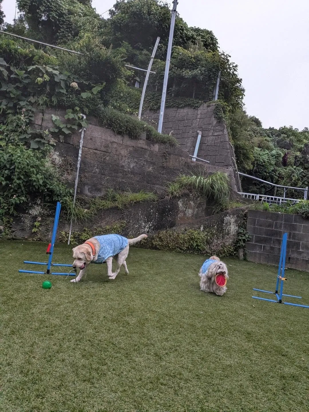 夕方になっても蒸し暑い〜😅