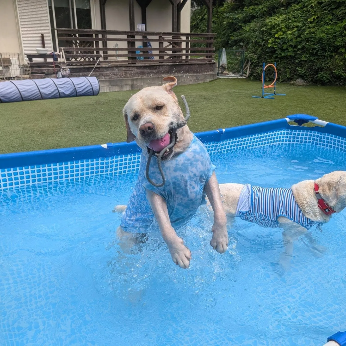 ２ラウンド始まりました💓
