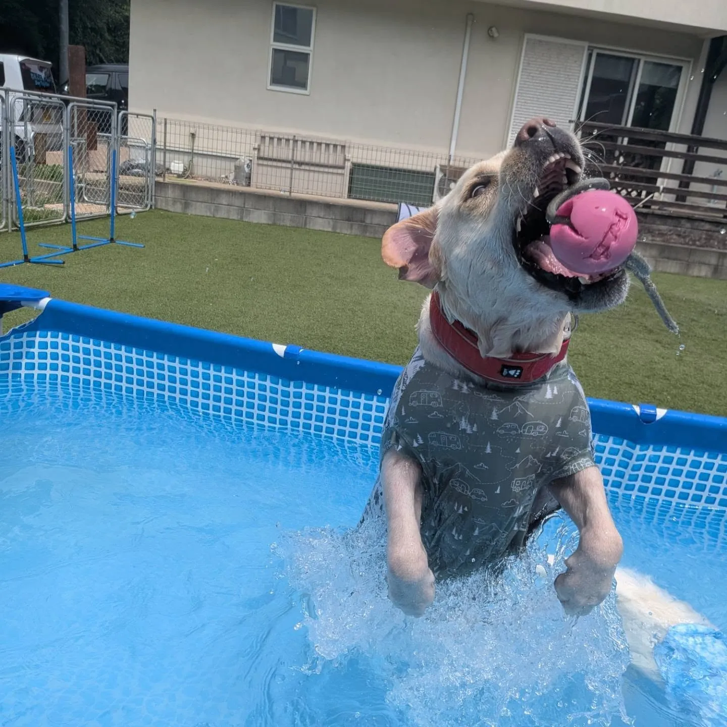 朝から猛暑😅