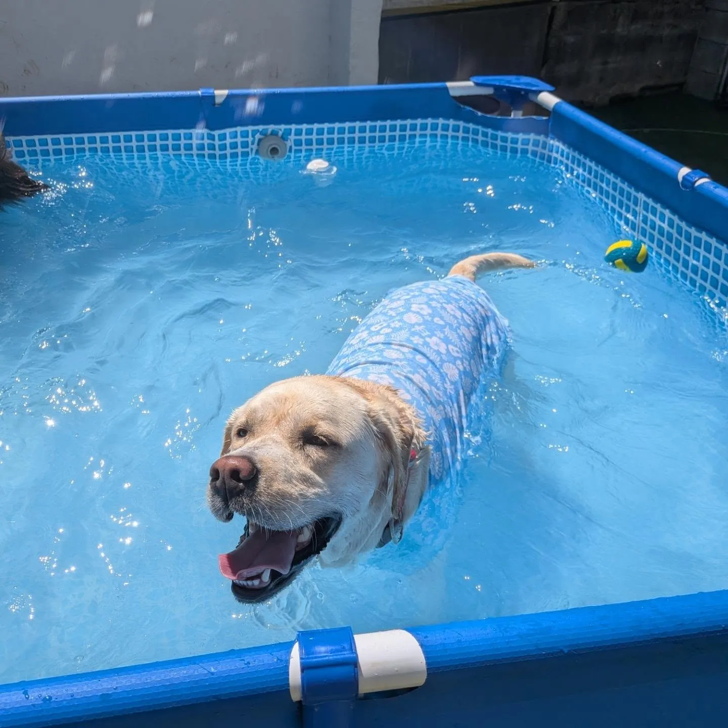 朝から猛暑😅