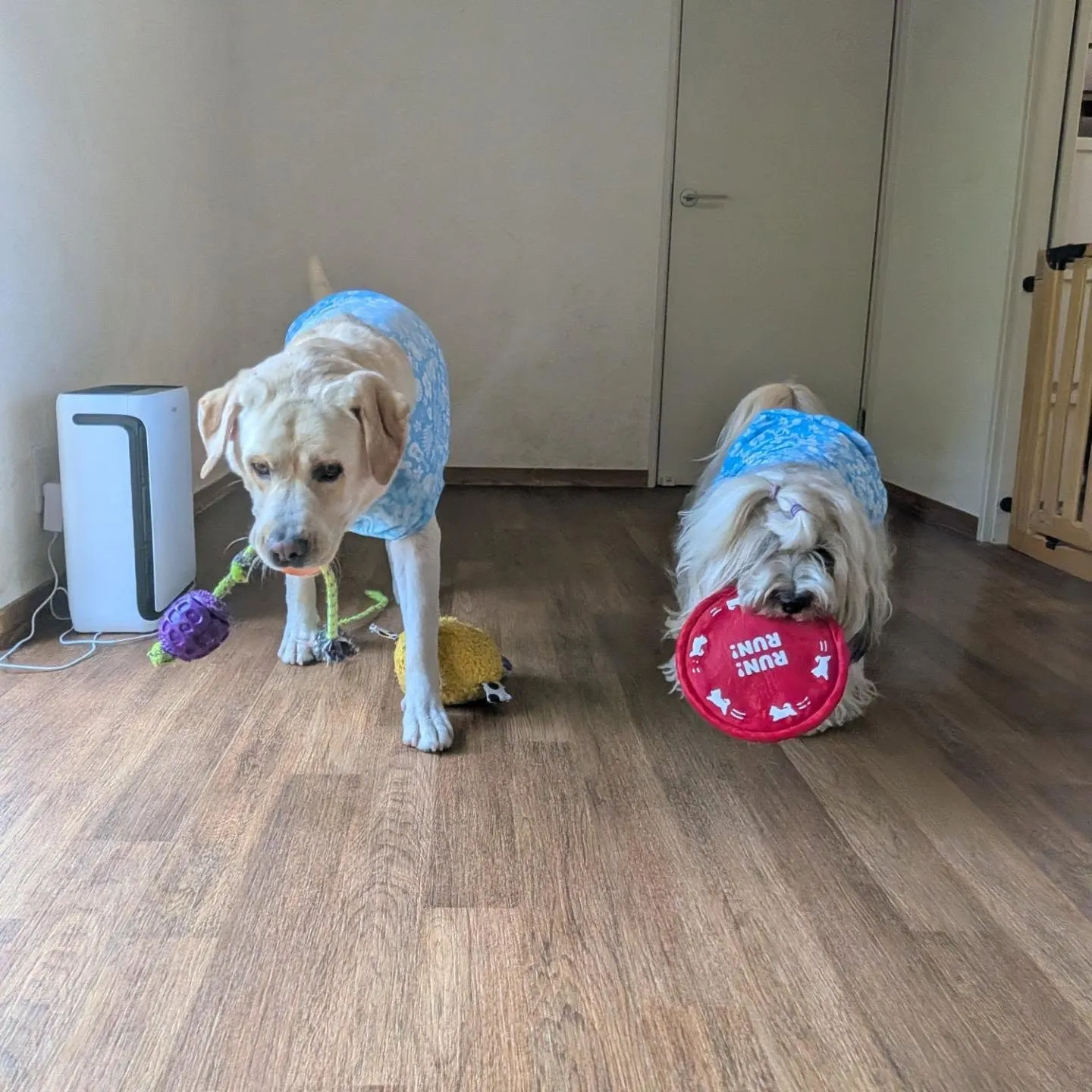毎日猛暑が続いています😅