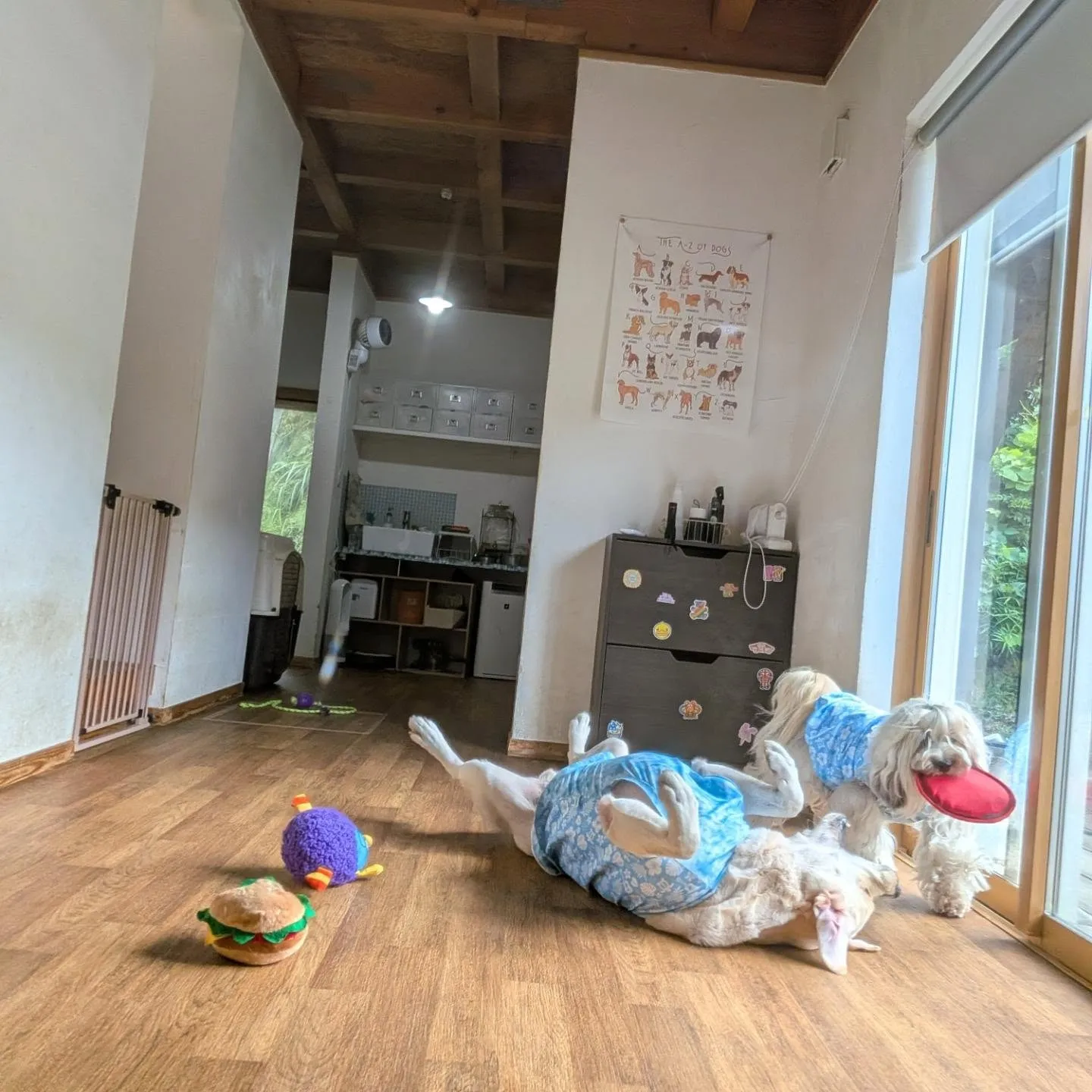 朝ゆっくりできる日はのんびり起きてお部屋遊び🩷