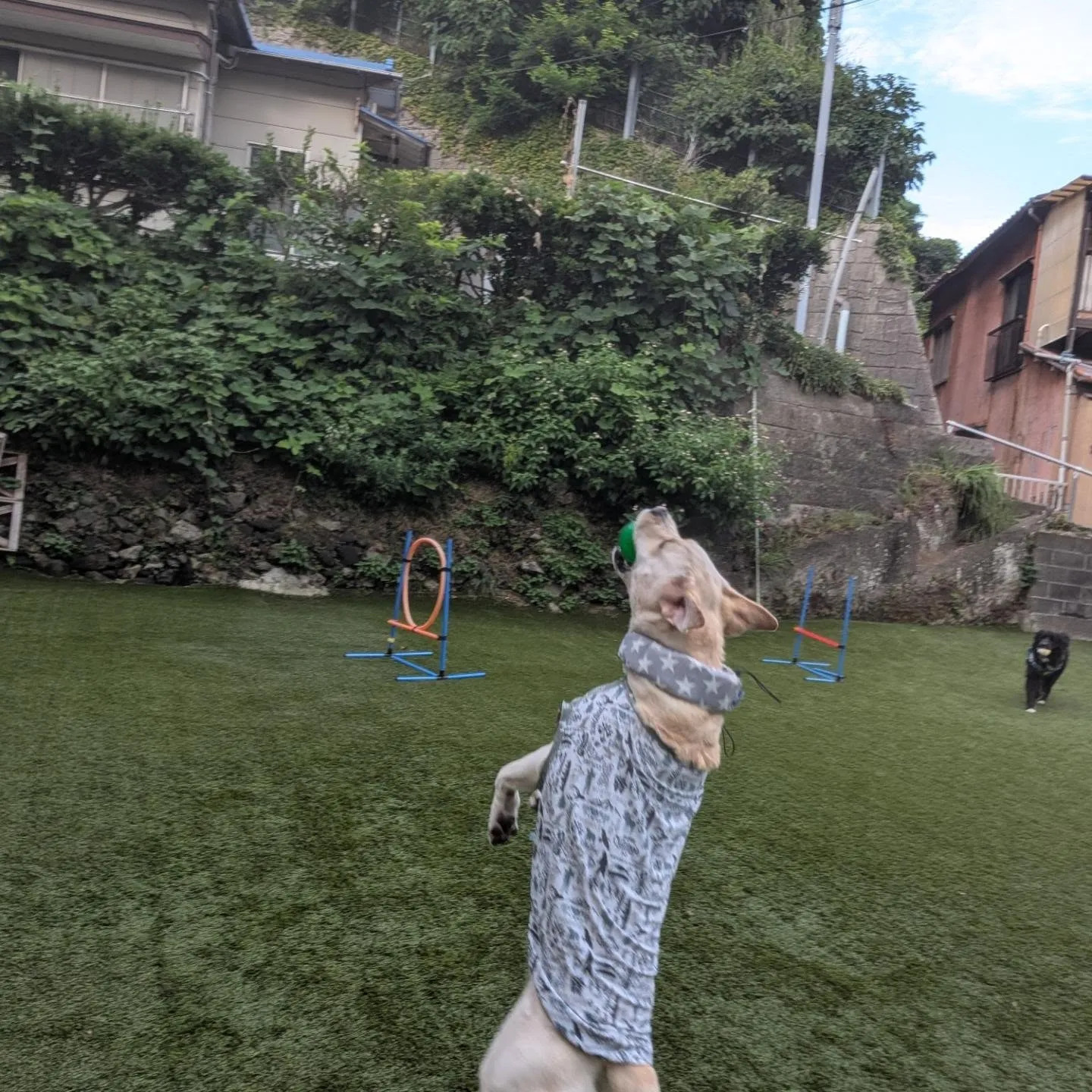夕方前にランへ🎵