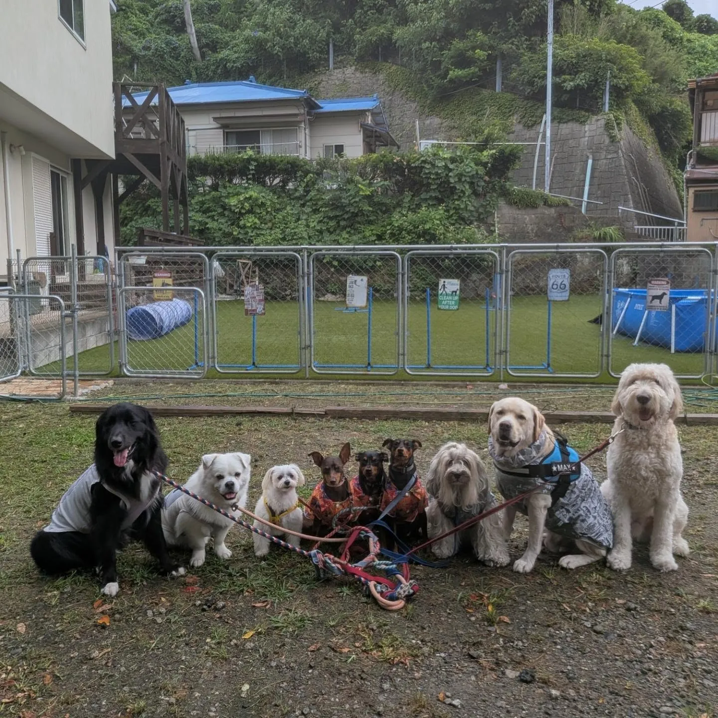 朝はみんなでお散歩へ🎵