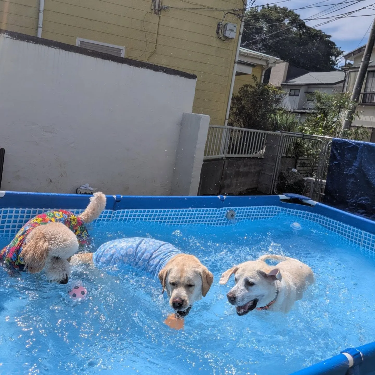 みんなでプールはいりました😄
