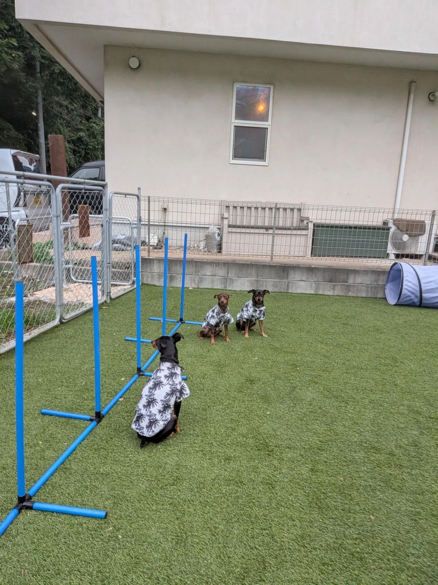 今日は涼しくて雨がパラパラ降っていたのでプールはお休み🩷