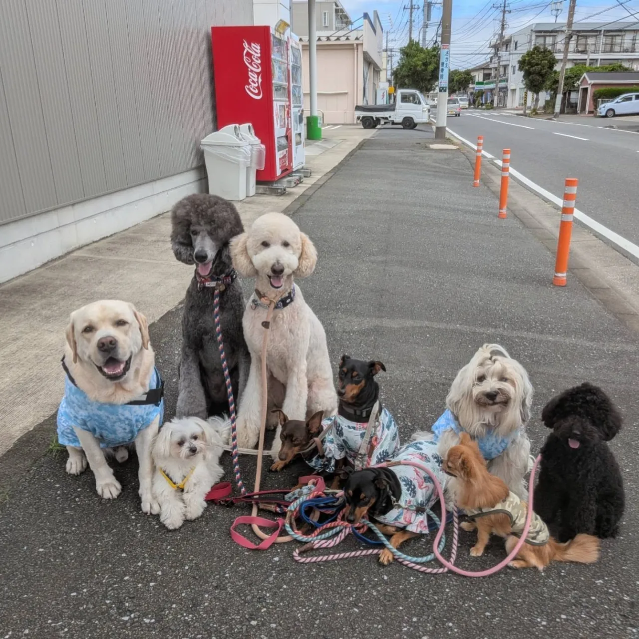 みんなでお散歩へ🎵