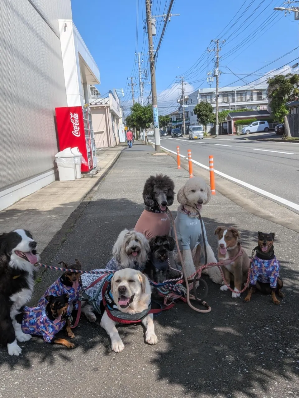 良いお天気になってうれしいねっ😄