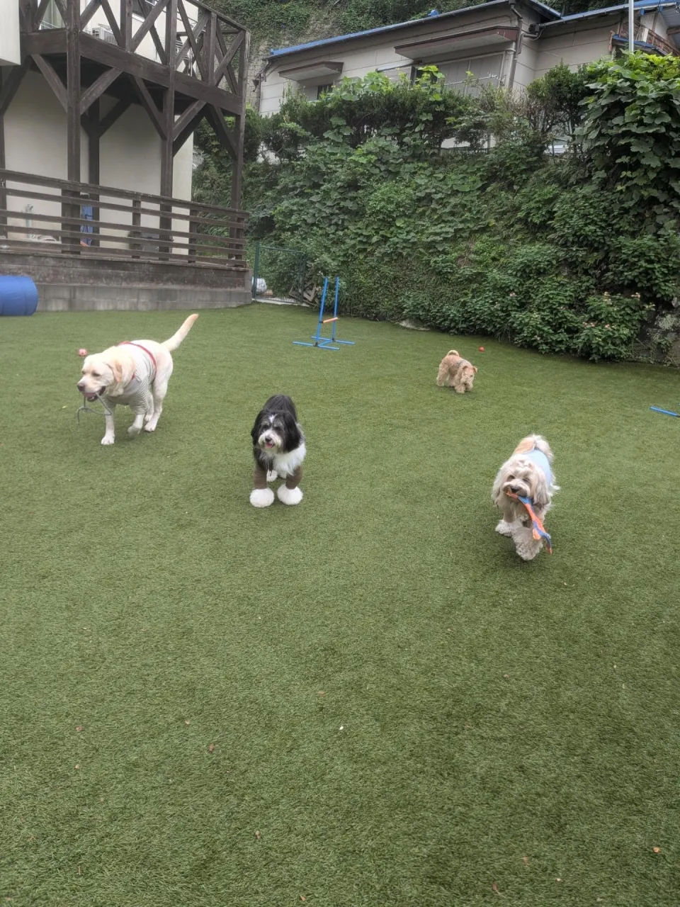 三崎までお散歩へ🎵