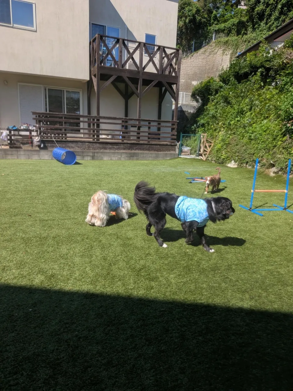 ロジちゃんのレッスンday💓