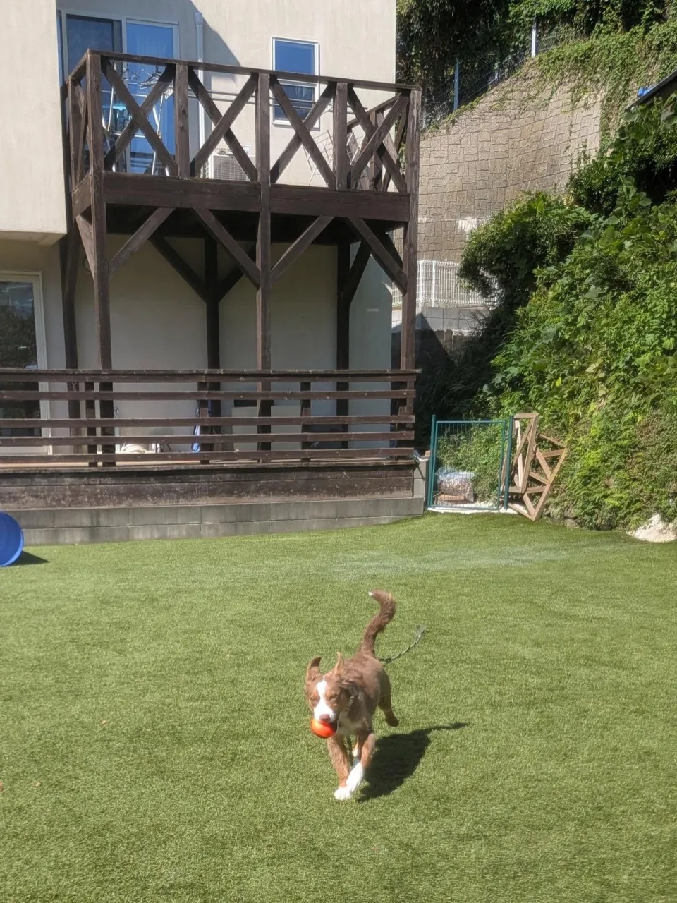 ロジちゃんのレッスンday💓
