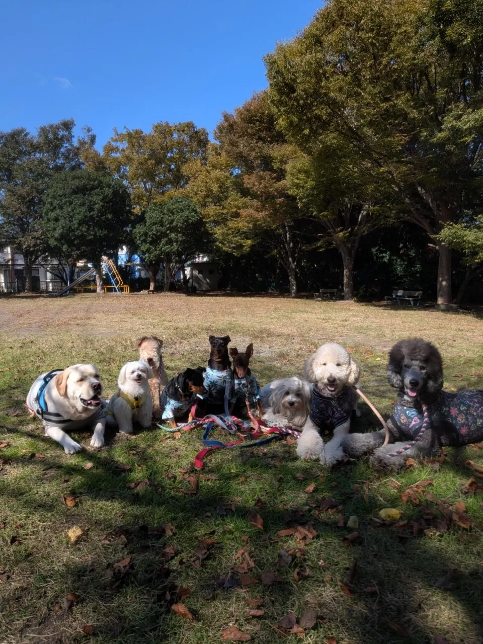 ここんとこ晴れが続いていて嬉しいねっ😊