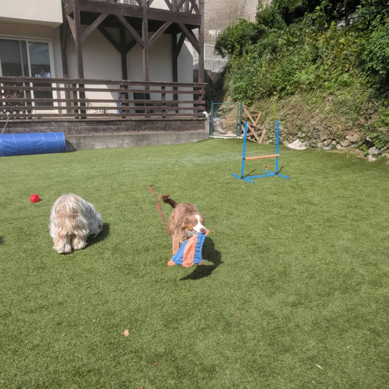 ロジちゃんのレッスンday🩷