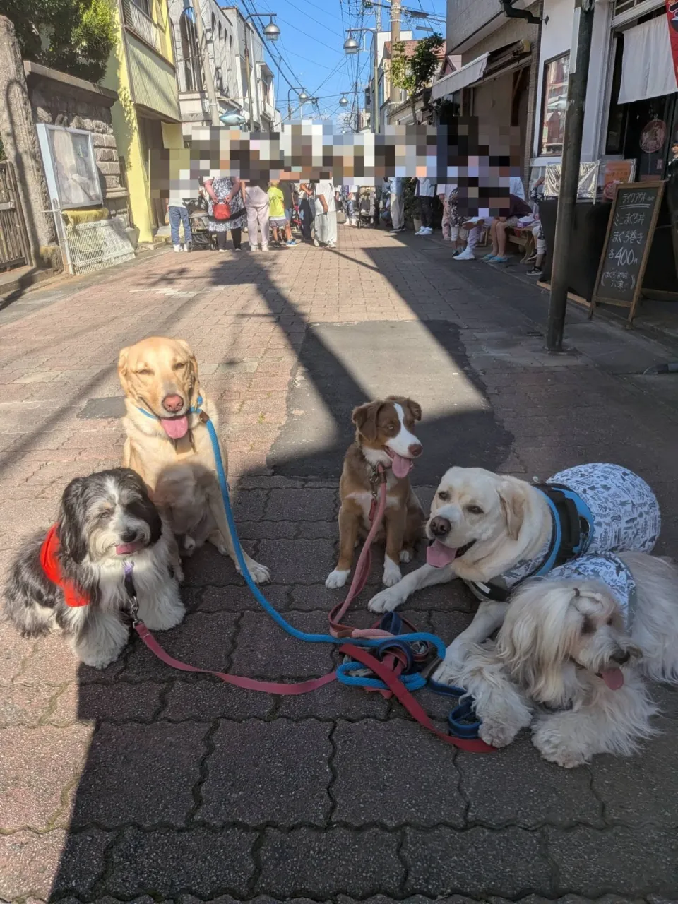 三崎までお散歩へ行ってきました😄