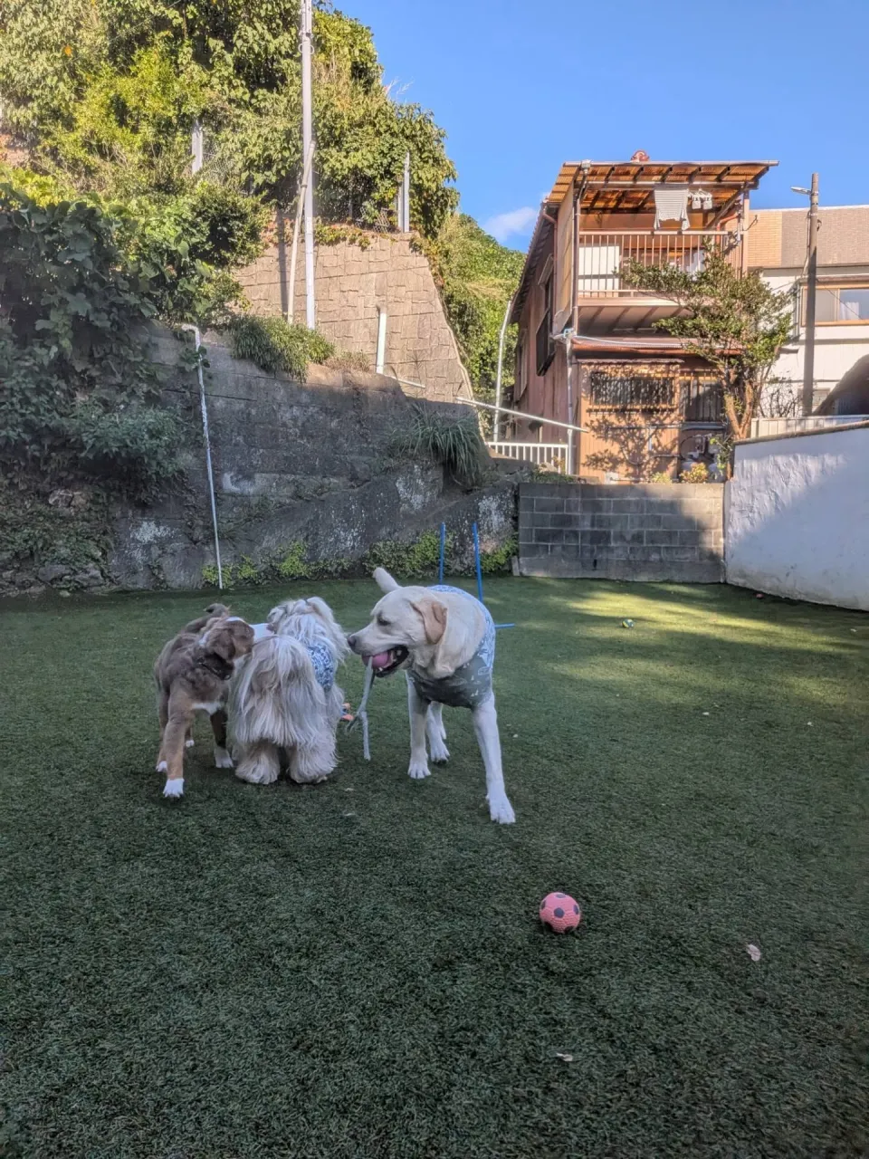 三崎までお散歩へ行ってきました😄
