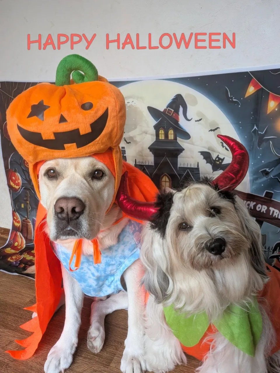 🎃ハロウィン🎃