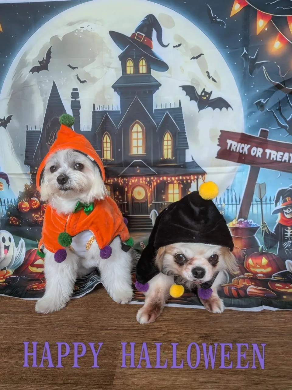 🎃ハロウィン🎃