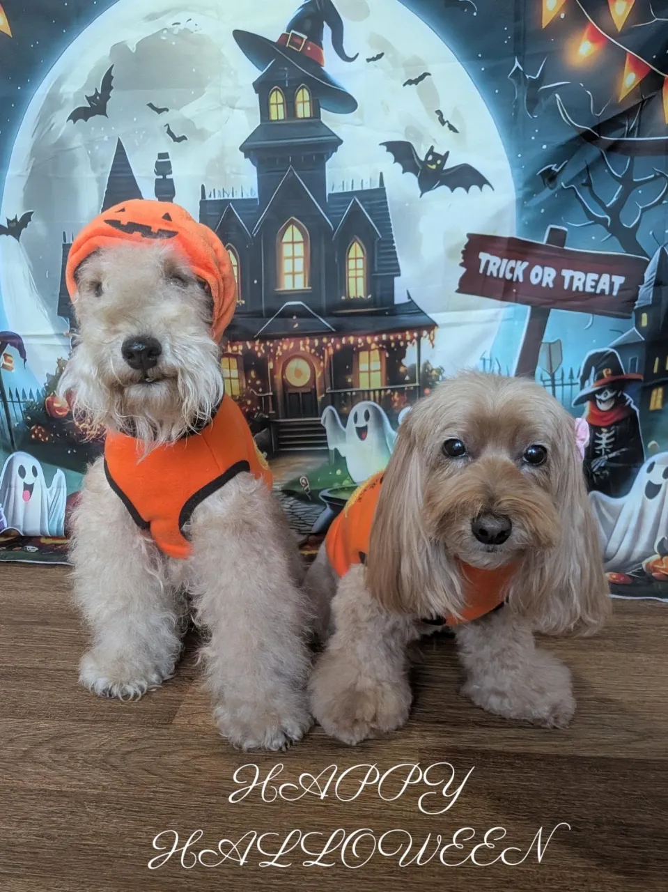 🎃ハロウィン🎃