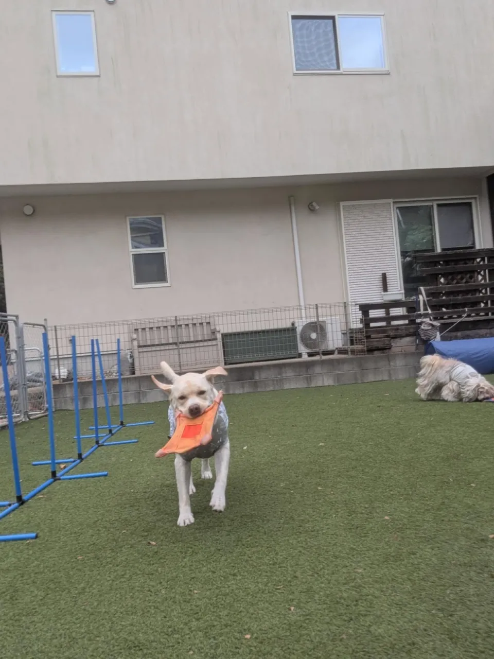 久しぶりにゆっくりな朝🩷