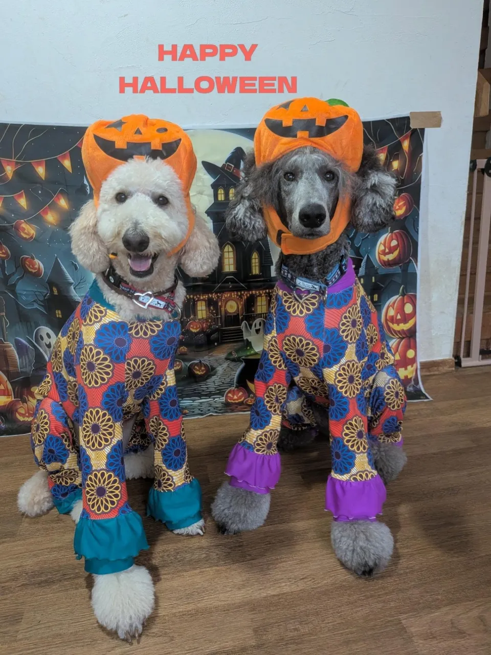 🎃HALLOWEEN🎃